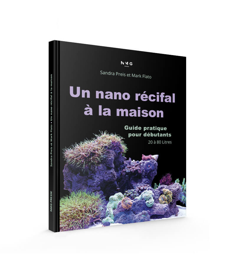 Nano-aquarium, le guide complet pour débuter cette pratique